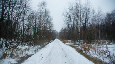 В Удельном парке станет больше спортивных площадок