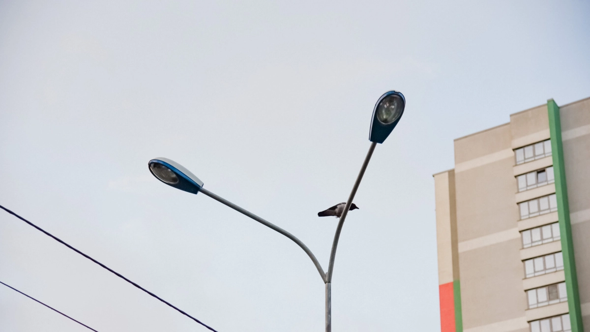 Почти 150 современных фонарей установят на проспекте Металлистов - tvspb.ru