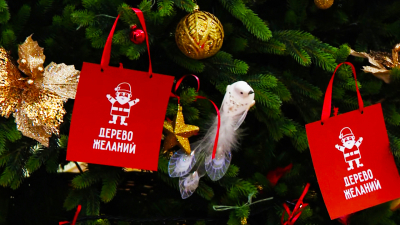 В Петербурге стартовала благотворительная акция «Дерево желаний»