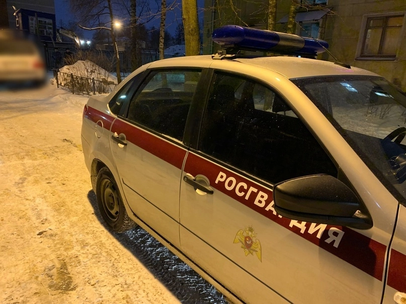 В Выборгском районе задержали мужчину, устроившего стрельбу в баре - tvspb.ru