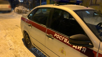 В Выборгском районе задержали мужчину, устроившего стрельбу в баре