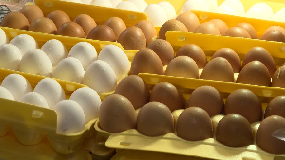 Цены  на яйца стабилизируются после Нового года - tvspb.ru