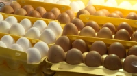 Кардиологи сообщили, что переедание куриных яиц чревато проблемами с сердцем