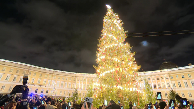 Триста игрушек и семь километров гирлянд: на Дворцовой площади зажглась главная городская ёлка