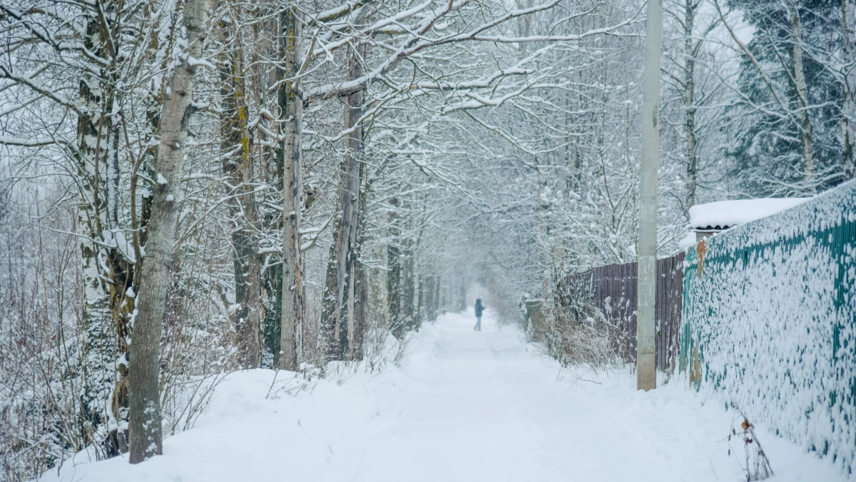 -12 градусов, гололед и снег ждут жителей Ленобласти 21 января - tvspb.ru