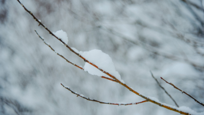 В Финляндии зафиксировали рекордно низкую температуру