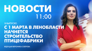 Новости Петербурга к 11:00