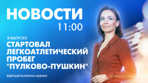 Новости Петербурга к 11:00