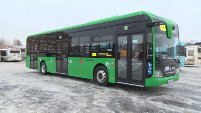 Петербуржцев и гостей города будут возить электробусы с ночной подзарядкой