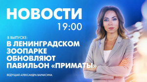 Новости Петербурга к 19:00