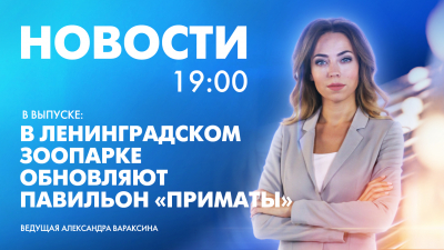 Новости Петербурга к 19:00