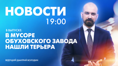 Новости Петербурга к 19:00