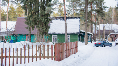 Календарь садовода на 2026 год: что стоит сделать уже зимой