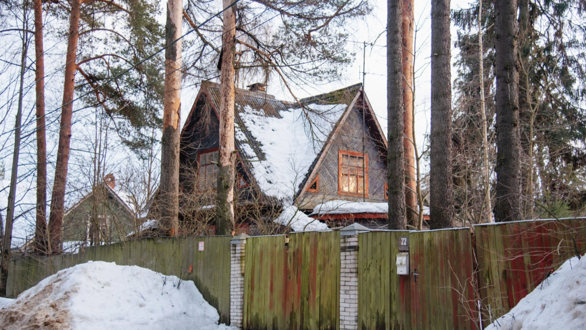 Лукин день: что можно и нельзя делать 20 февраля - tvspb.ru