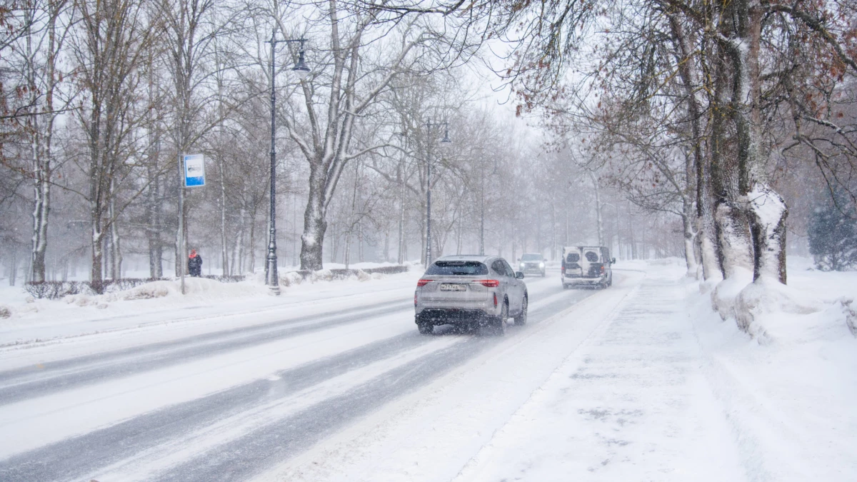 Петербуржцев предупредили о сильном ветре и снеге 22 января - tvspb.ru