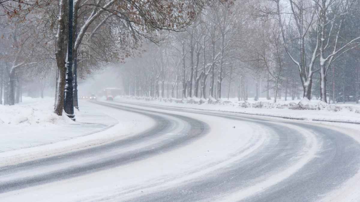 МЧС: в Ленобласти 6 декабря ожидается туман, осадки и гололедица - tvspb.ru