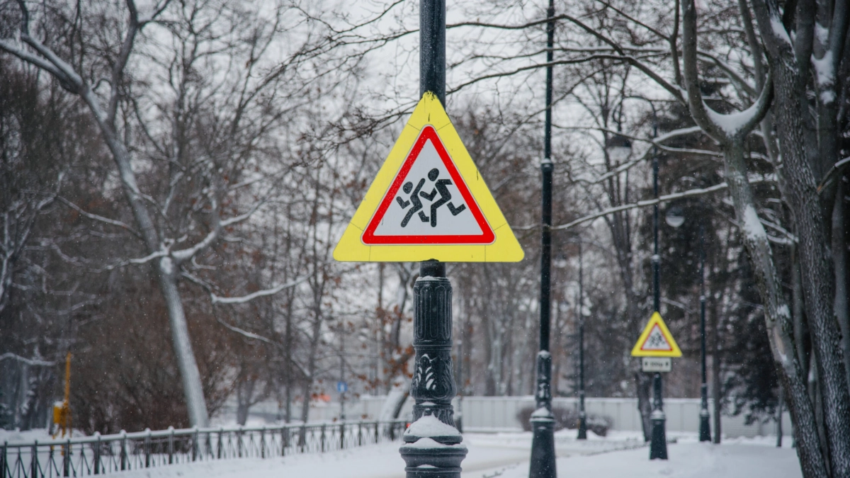 Минздрав РФ: В 2024 году смертность детей в результате ДТП снизилась на 10% - tvspb.ru