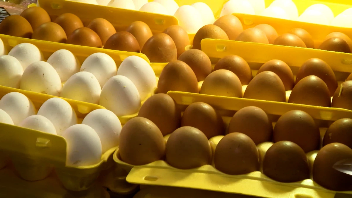 Специалисты рассказали, как правильно хранить пасхальные яйца - tvspb.ru