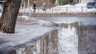 Синоптик пообещал «унылую погоду» в Петербурге в последние зимние дни