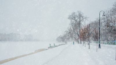 В эпицентре циклона «Рикса»: Снежный шторм накрыл Петербург