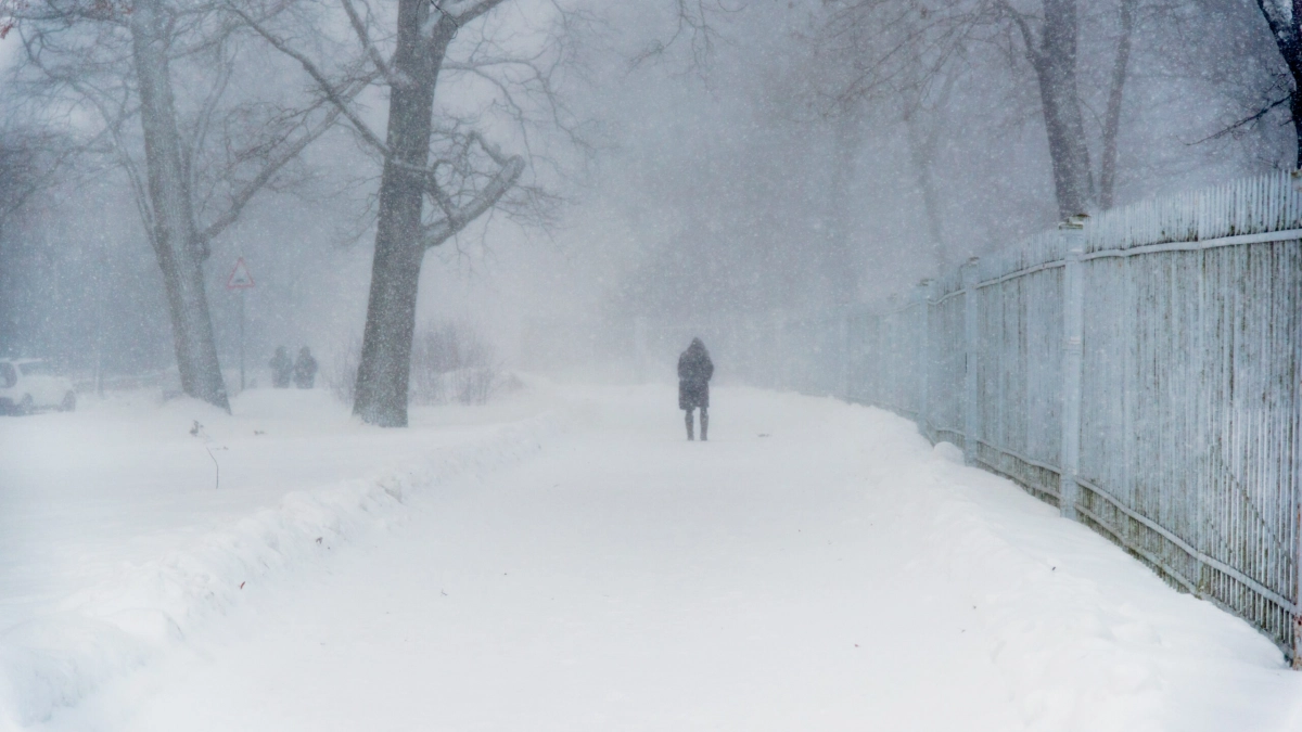 Холодная пятница ждет жителей Ленобласти: морозы до -23 градусов и снег 13 февраля - tvspb.ru