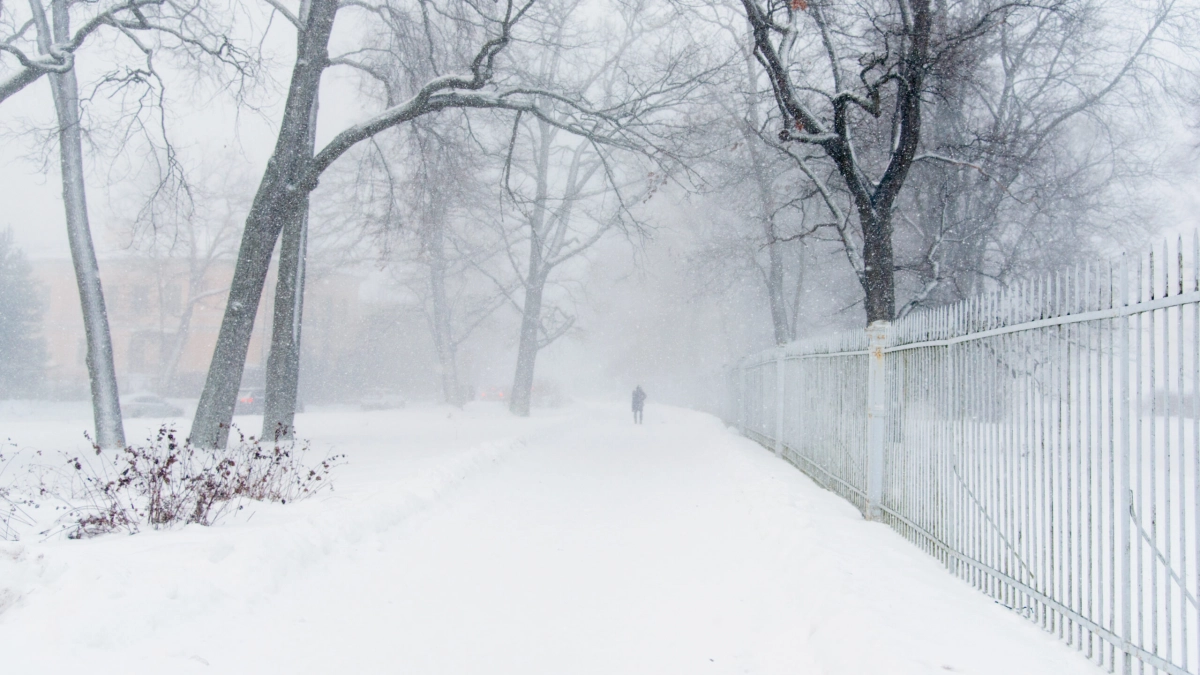 -24 градуса, изморозь и гололед ждут жителей Ленобласти 29 января - tvspb.ru