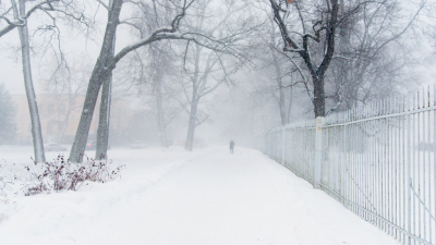 -24 градуса, изморозь и гололед ждут жителей Ленобласти 29 января