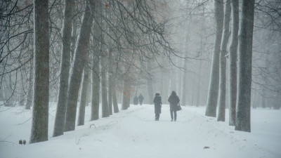 -23 градуса, метель и порывы ветра до 17 м/с: какая погода ждет жителей Ленобласти 26 февраля