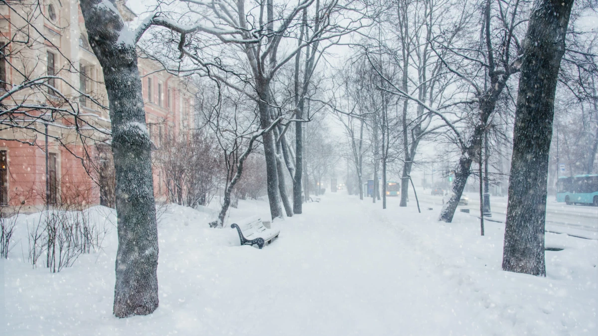 10 января Петербург накроет метель - tvspb.ru