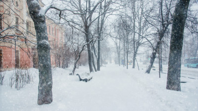 10 января Петербург накроет метель