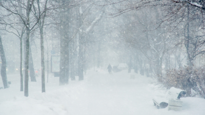 Температура до -28 градусов, туман и снег: какая погода ждет жителей Ленобласти 31 января