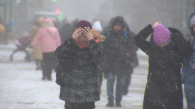 Снег, дождь, ветер и туман: чего ждать жителям Ленобласти от погоды в выходные