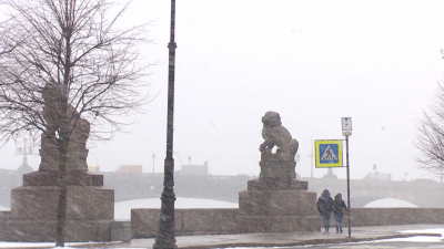 МЧС предупредило петербуржцев о сильном ветре