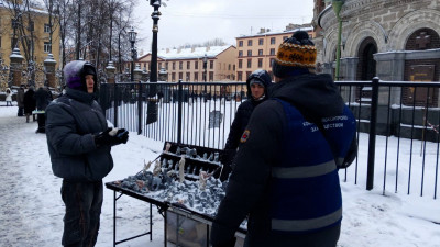 Рейд в центре Петербурга: нашли и наказали несколько нелегальных торговцев