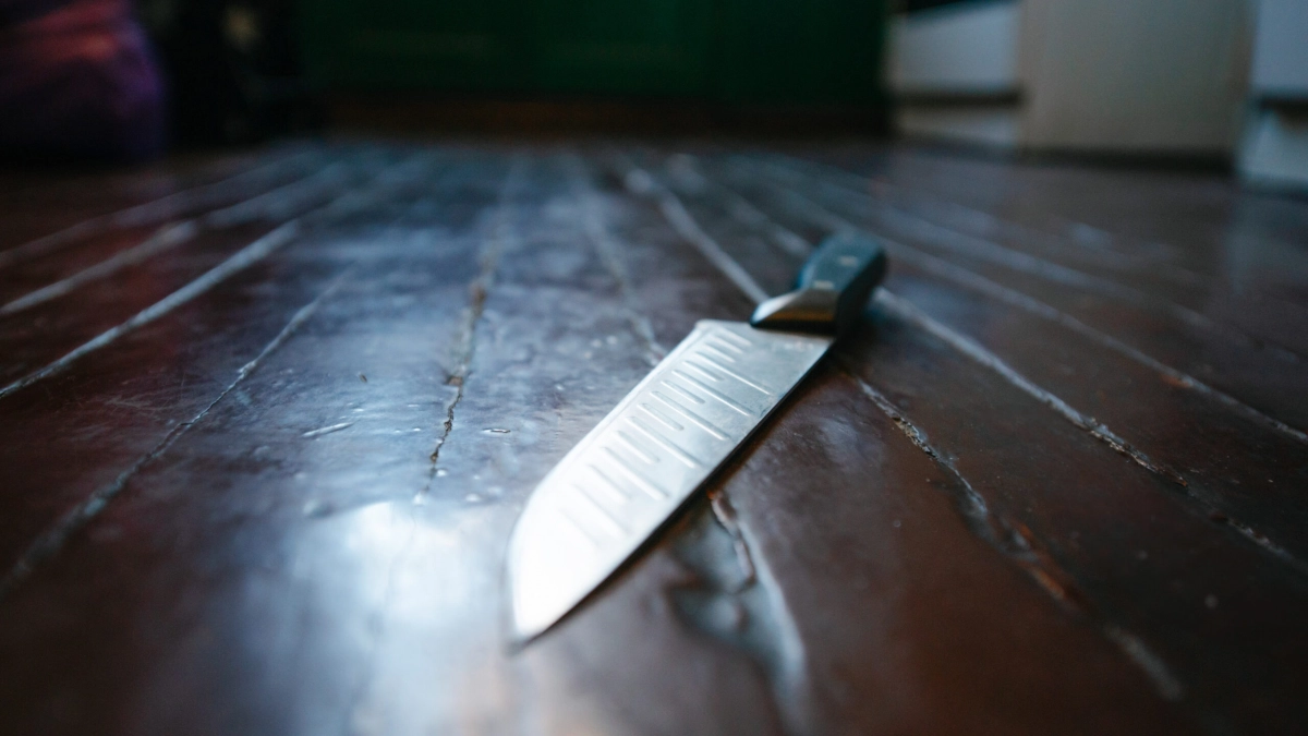В Карелии тихий, прилежный школьник превратился в монстра и изрезал ножом двух девушек - tvspb.ru