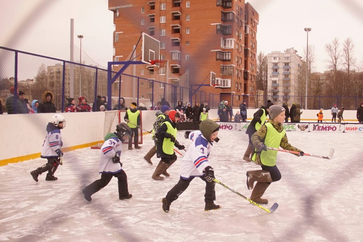 В Красногвардейском районе пройдет турнир по хоккею в валенках - tvspb.ru