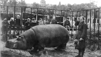 Ленинградский зоопарк рассказал, как учреждение работало в годы блокады