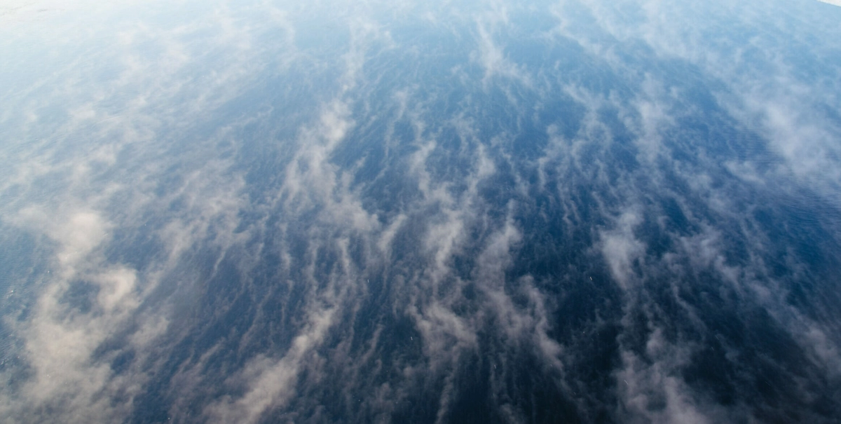 Геолог предупредил о глобальном похолодании в ближайшие годы - tvspb.ru