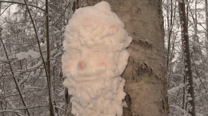 Портреты из снега в парке Сосновка