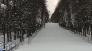 Лыжня в центре Петербурга. На Крестовском острове открывается новая трасса