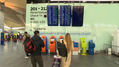 Транспортная прокуратура начала проверку из-за двухдневной задержки рейса Петербург — Дубай
