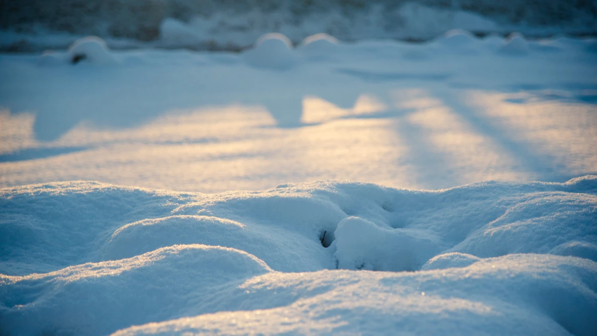 Владельцам частной территории на Васильевском острове грозит штраф за лёд под снегом - tvspb.ru