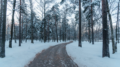 Жителей Ленобласти предупредили о морозах до -17 градусов и гололеде 16 января