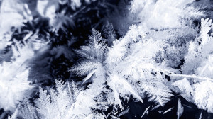 Ледяные цветы, световые столбы и, конечно, северное сияние: как природа творит зимние чудеса