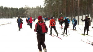 Соревнования по выживанию в лесу: Кубок Ленинградской области по рогейну
