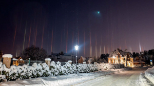 Ёлка-свиристёлка, динозавры в городе, автобус в счастье  –  как прошла встреча Нового года в соцсетях петербуржцев