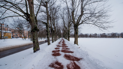 В Петербурге поддержали отказ от химических реагентов на тротуарах
