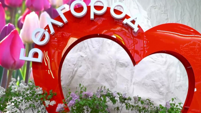 Посетителям выставки «Россия» в Москве раздали тюльпаны в поддержку Белгорода