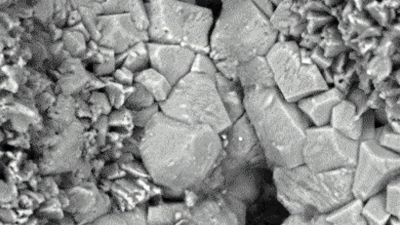 Российские ученые разработали технологию, при которой бактерии «заживляют» трещины в бетоне