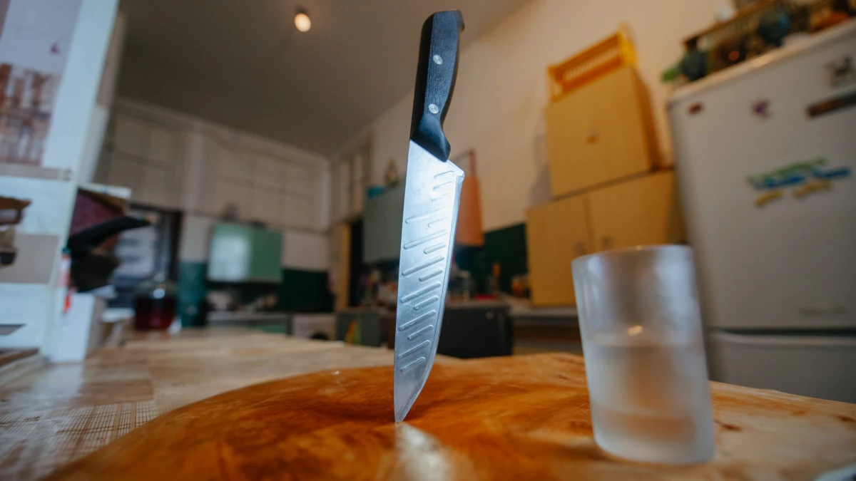 В Ленобласти мужчина пырнул односельчанина ножом в шею - tvspb.ru
